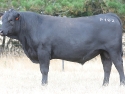 Lot 3 - P102 – Hallmark